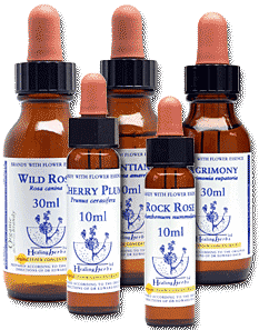 individual bottles of bach flower remedies
